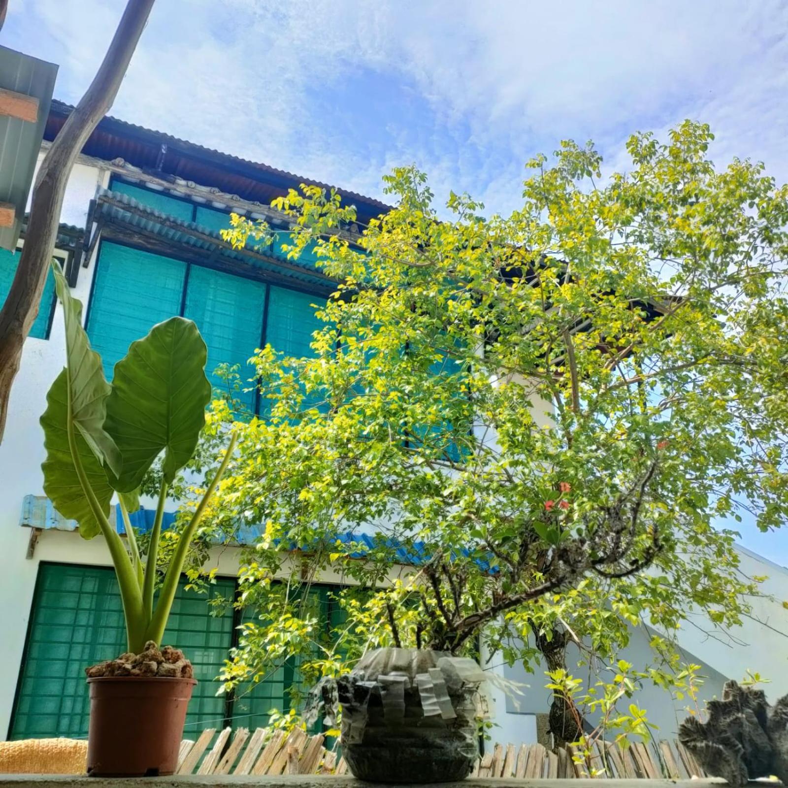Palm Paradise Loft Diani Beach