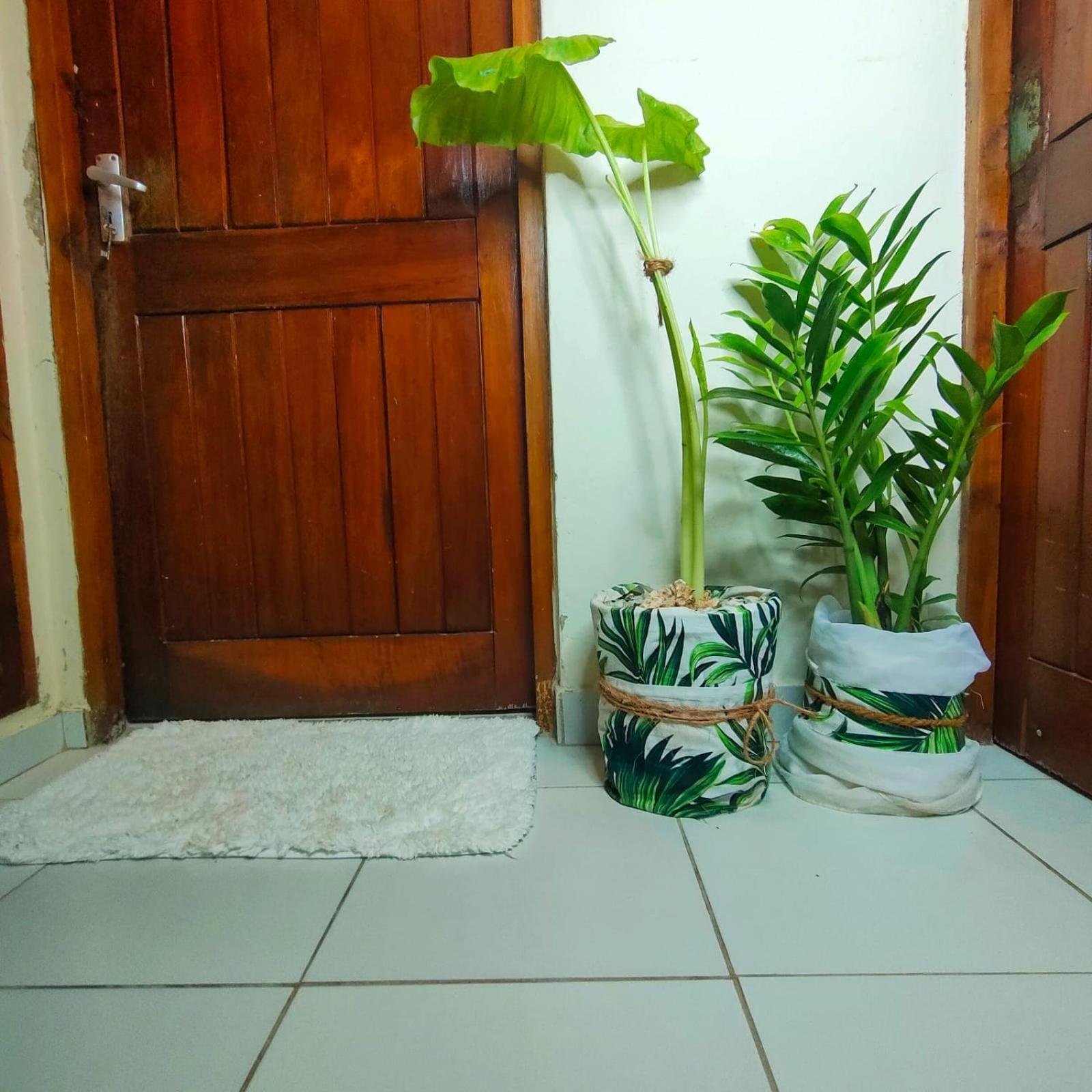 Palm Paradise Loft