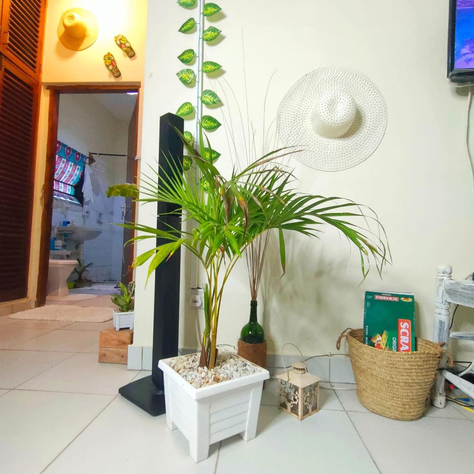 Apartment Palm Paradise Loft *